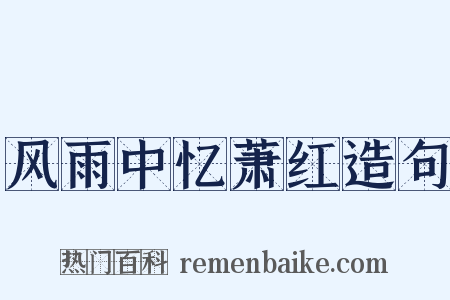 风雨中忆萧红造句是什么意思的图片